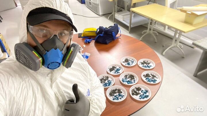 Уничтожение клопов, травить тараканов. Дезинсекция