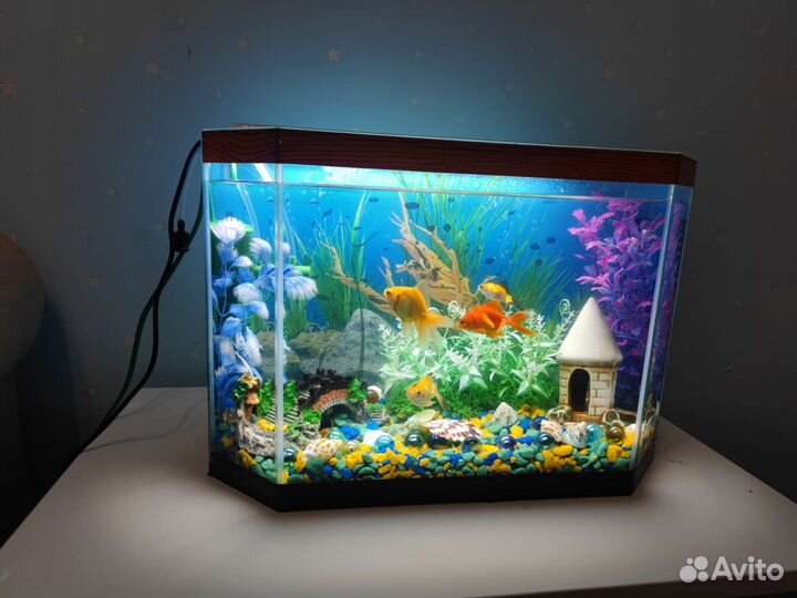 Аквариум