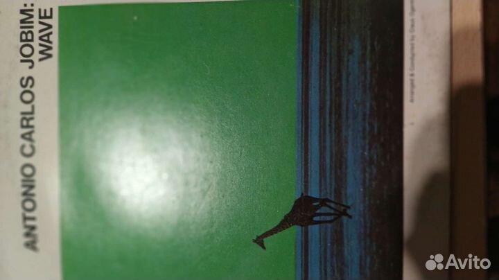 Виниловая пластинка