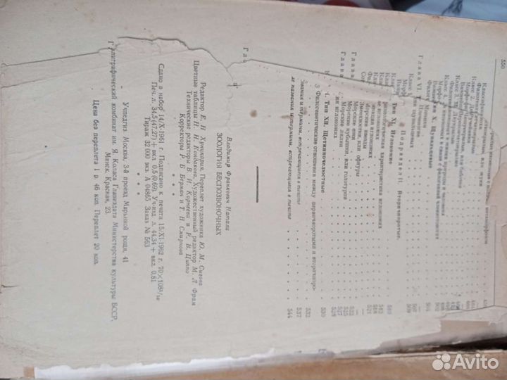 Натали Зоология беспозвоночных