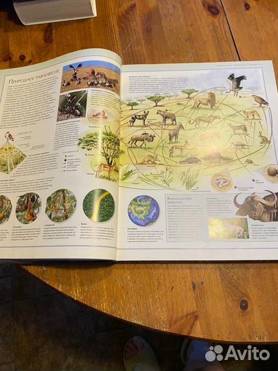 Живая природа. Иллюстрированный атлас