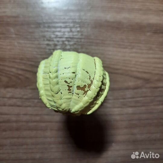 Кукла лол оригинал