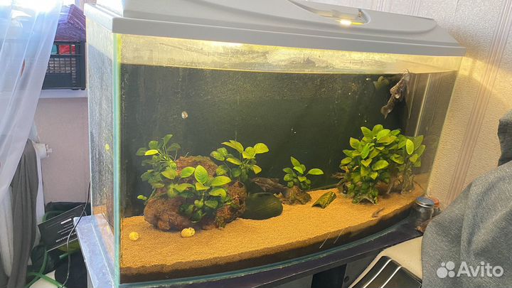 Аквариум