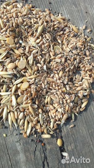 Зерновые отходы