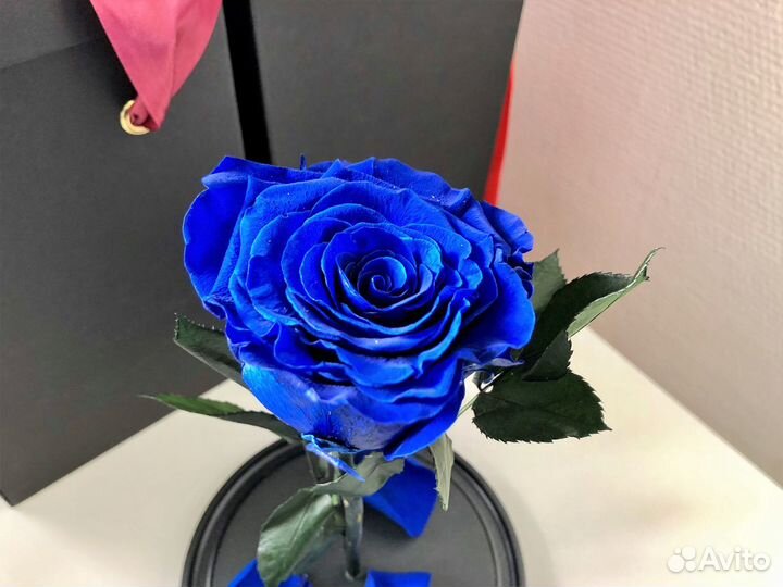 Роза в колбе