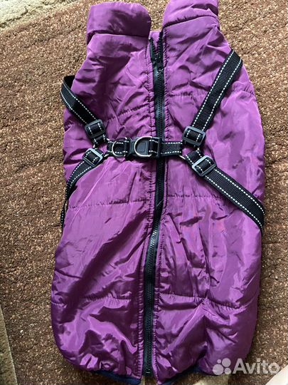 Куртка для собак