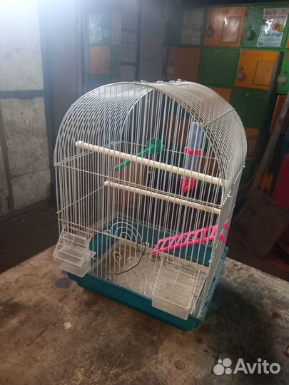 Клетка для попугая