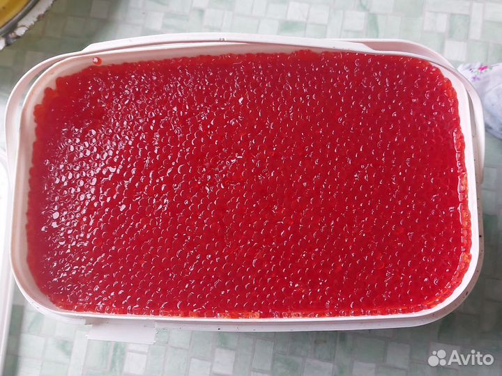 Красная икра 2023