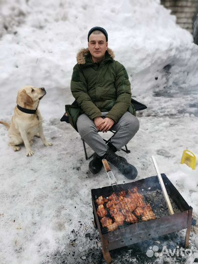 Лабрадор ретривер