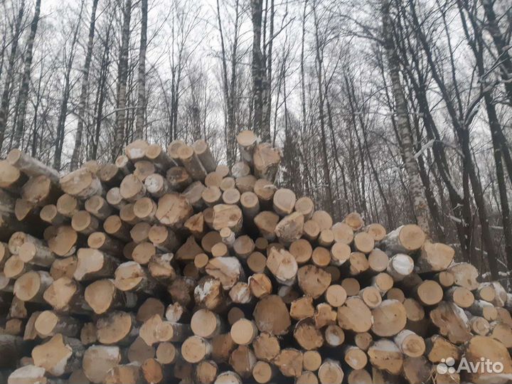 Имеется в продаже Осина,Липа,Береза и Хвоя