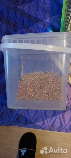 Клетка для попугая