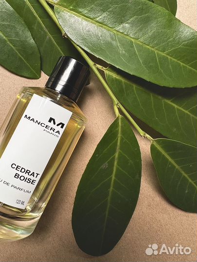 Cedrat Boise от Mancera ниша, селектив, распив