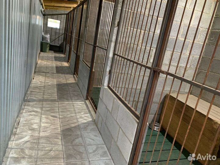 Гостиница для собак