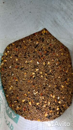 Корма для сельскохозяйственных животных