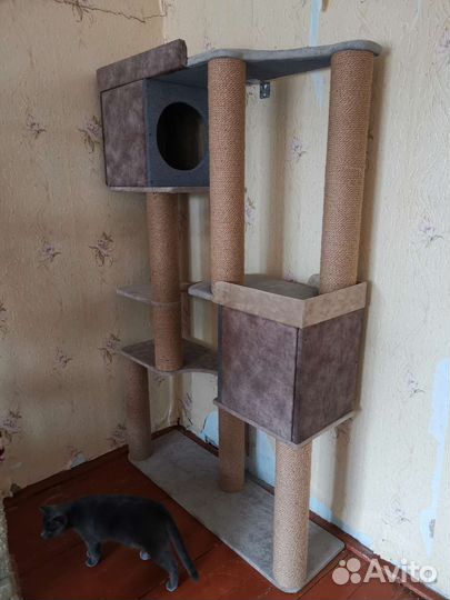 Когтеточка для кошек