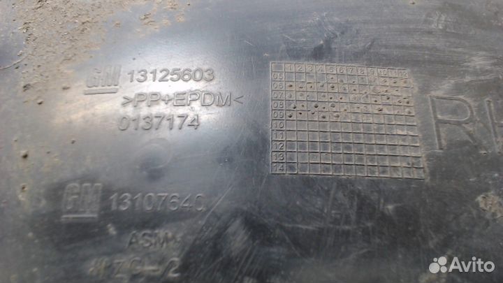 Защита арок (подкрылок) Opel Astra H, 2009