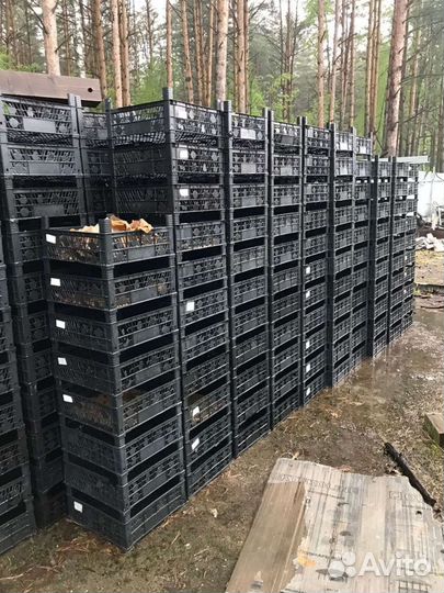 Ящик пластиковый