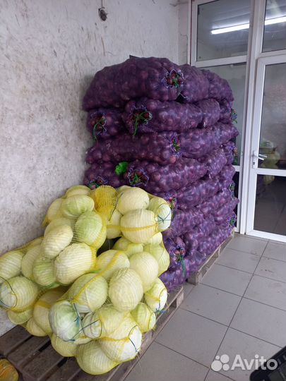 Лук репчатый, картофель, морковь, свёкла,капуста