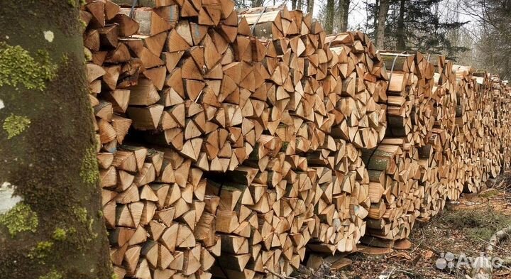 Дрова заготовителей дров