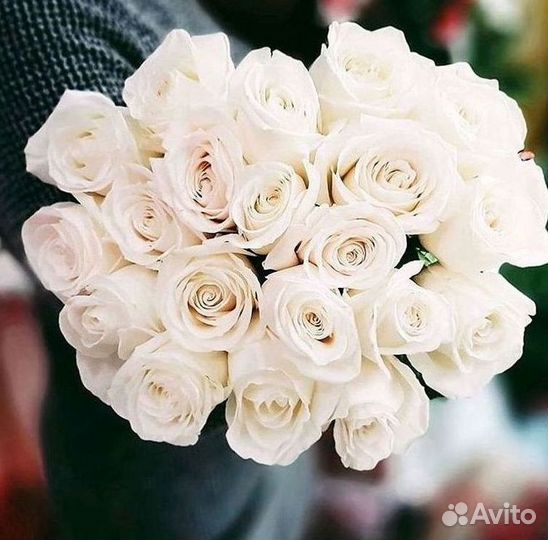 Розы высокие Доставка цветов