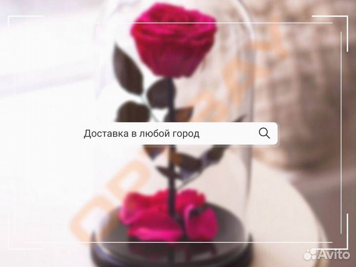 Роза в колбе. С гарантией