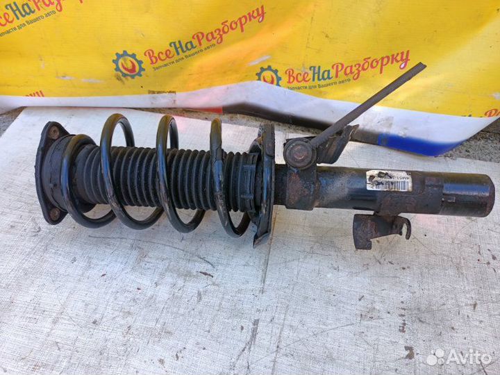 Амортизатор стойка передняя правый Ford Focus 1.6