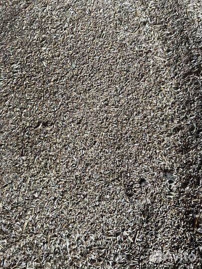 Зерноотходы ячмень/пшеница