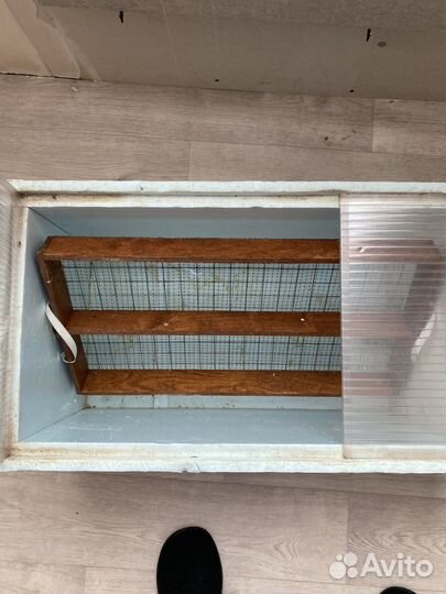 Инкубатор для яиц автоматический бу