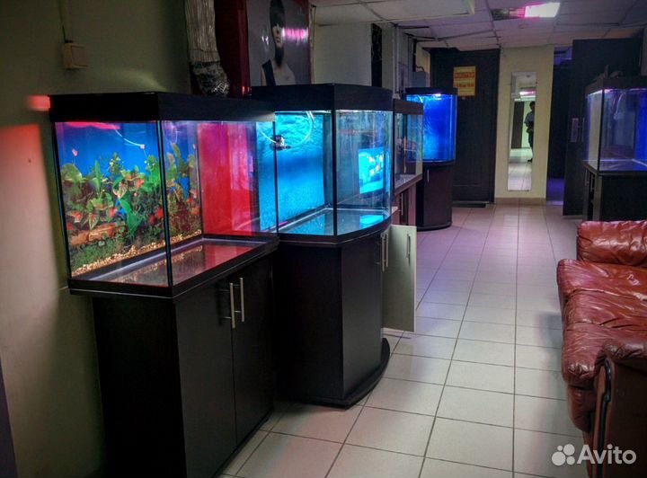 Аквариумы 10-1200л любые формы объёмы размеры