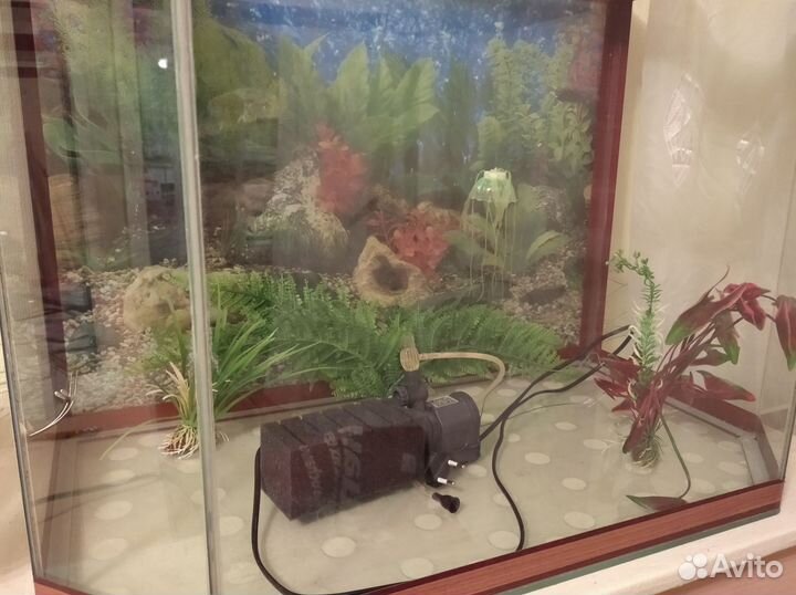 Аквариум 120 л