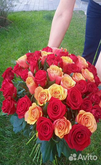 Букет из 75 роз