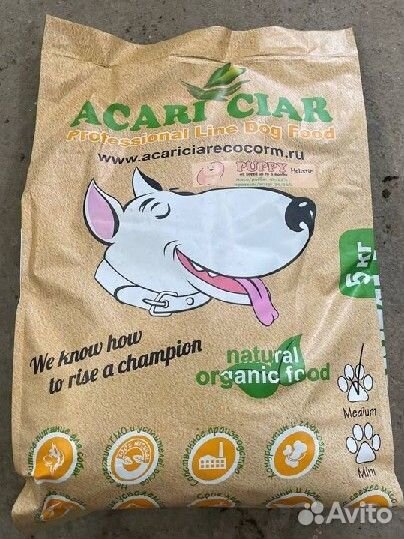 Acari Ciar Puppy