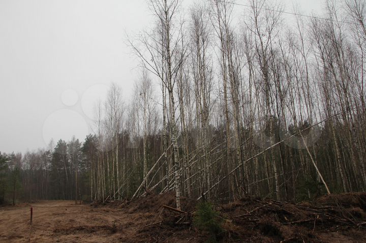 Участок 20 сот. (СНТ, ДНП)