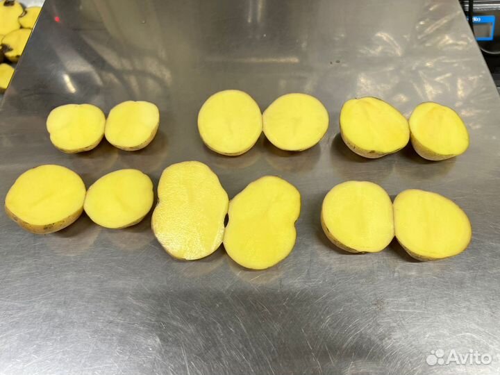 Семена картофеля сорт Ривьера