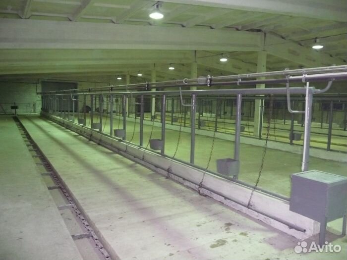 Доильный зал “Елочка”