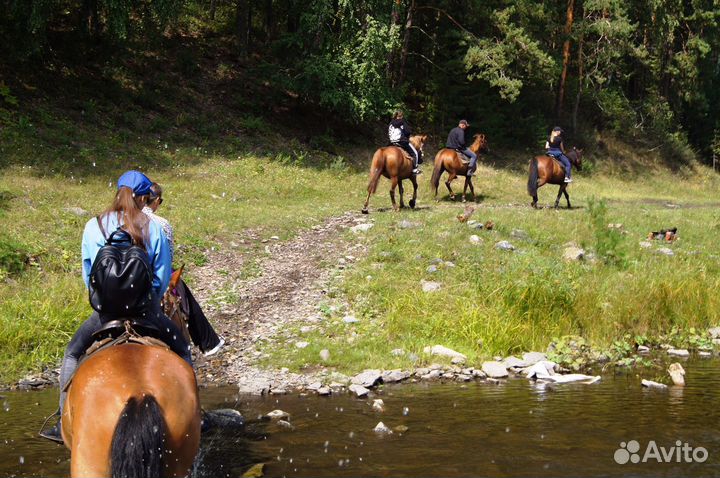 4-5/11 Конный тур в Каге 2 дня