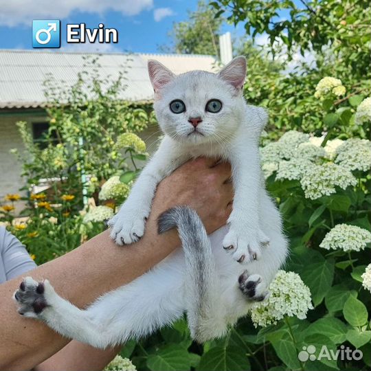 Малыш-улыбашка