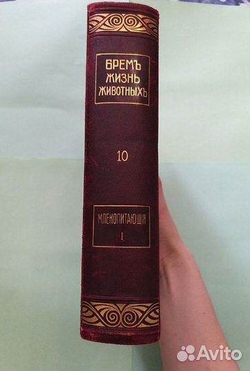 Продам антикварную книгу