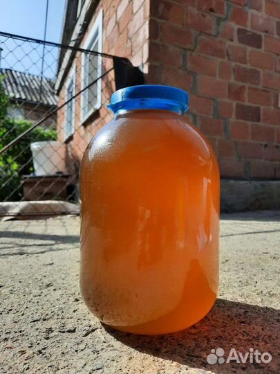 Майский мёд, Рапсовый мёд, Подсолнечный 2023 года