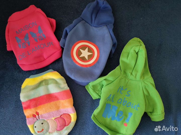 Одежда для собак