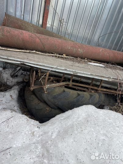 Боронки зубовая