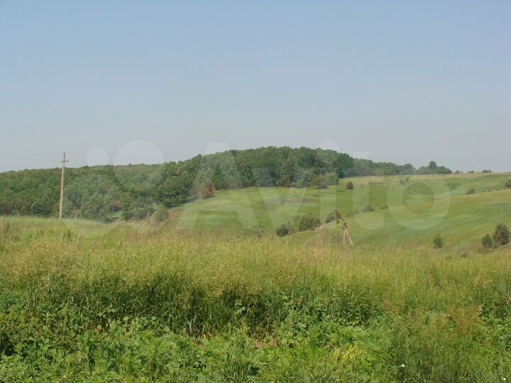 Участок 32 сот. (ИЖС)