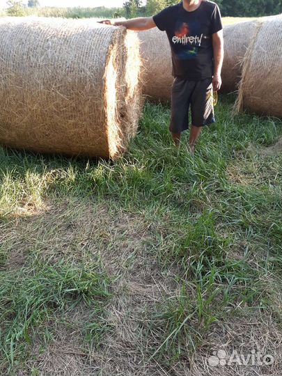 Сено луговое в рулонах