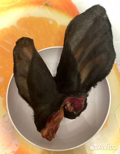 Сушеное лакомство для собак