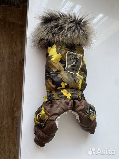 Одежда для собак