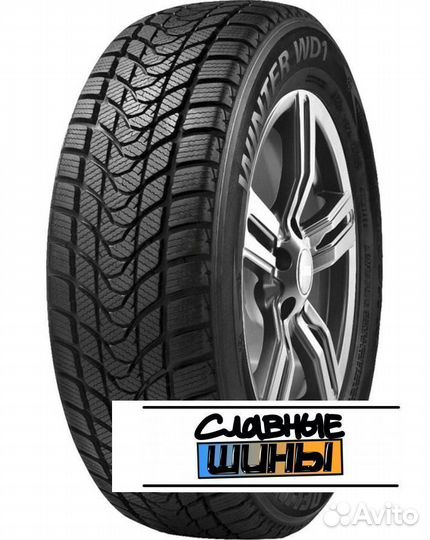 Delinte Winter WD1 235/50 R19 99H