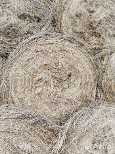 Сено в тюках