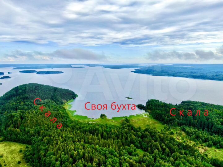 Участок 4 га (СНТ, ДНП)
