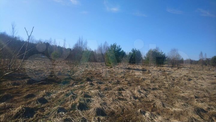 Участок 5,3 га (ИЖС)