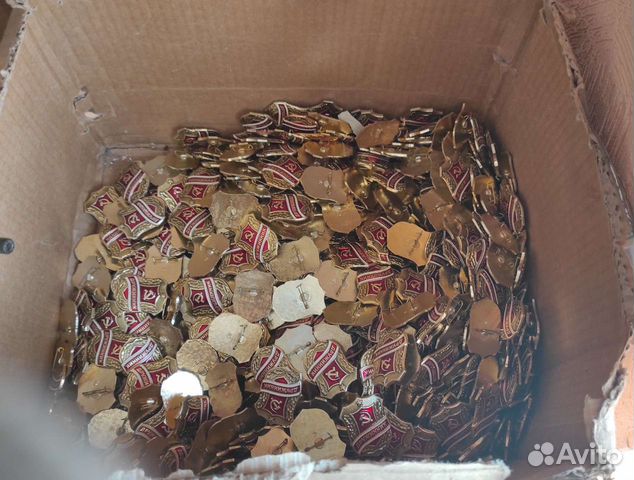 Значок дружинник